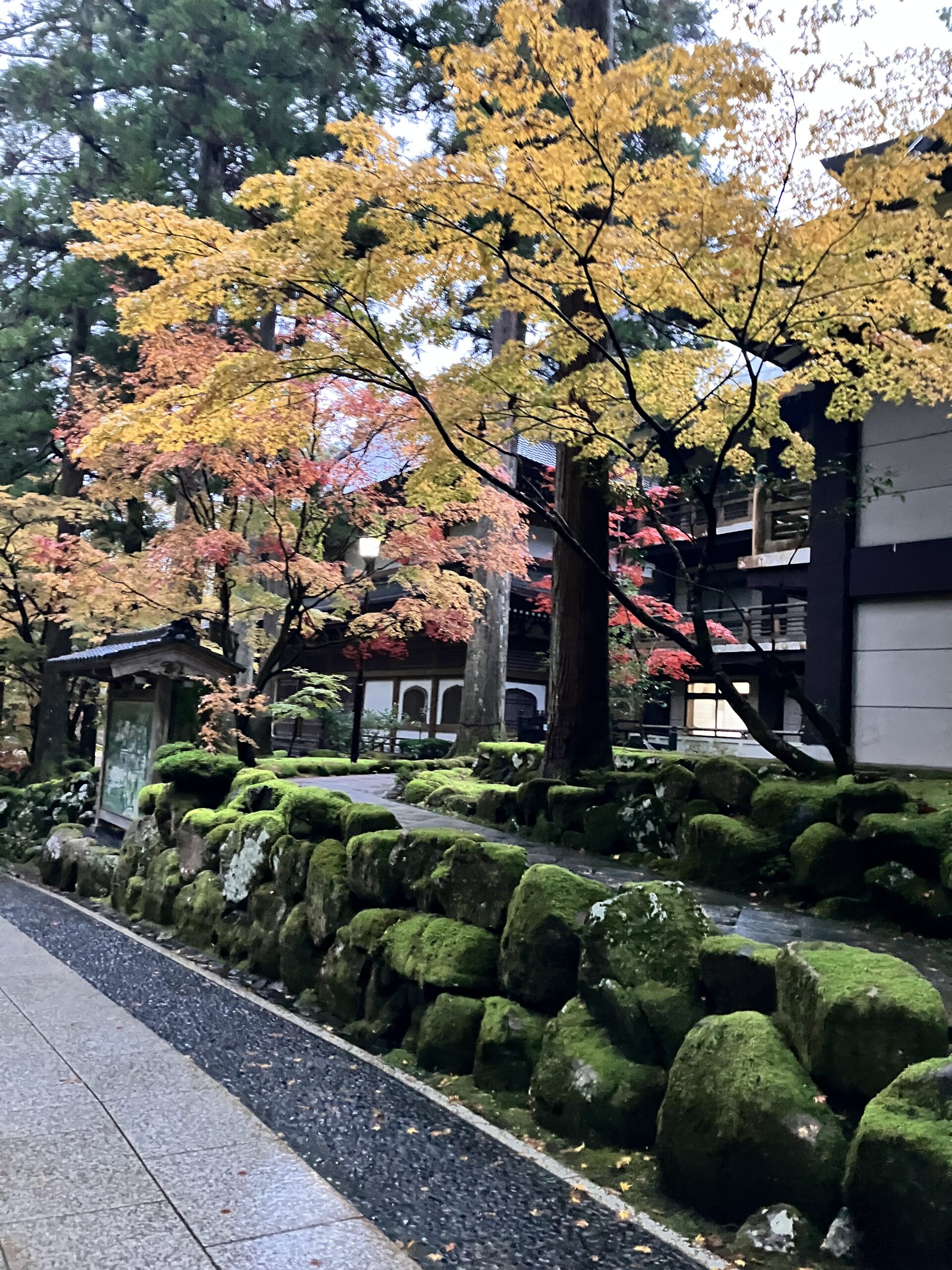 福井　第一日目
